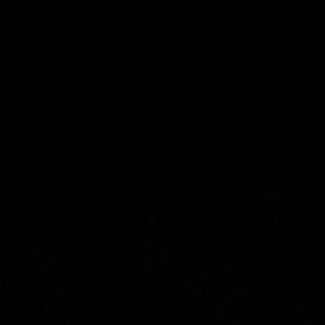 Meet your Posher, Jess